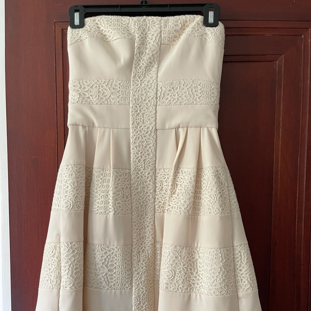 BCBGMaxazria strapless dress
BCBG Dorothea Strapless Embroidered